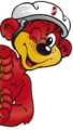 puky-baer.jpg