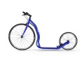 Wolfer_12701_Y30_blue_side.jpg