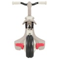 pol_pl_Rowerek-EXPLORER-TRIKE-4w1-ECOLOGIC-637-566-17511_17.jpg