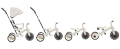 67e107583e185.png